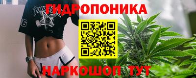 бошки Новодвинск