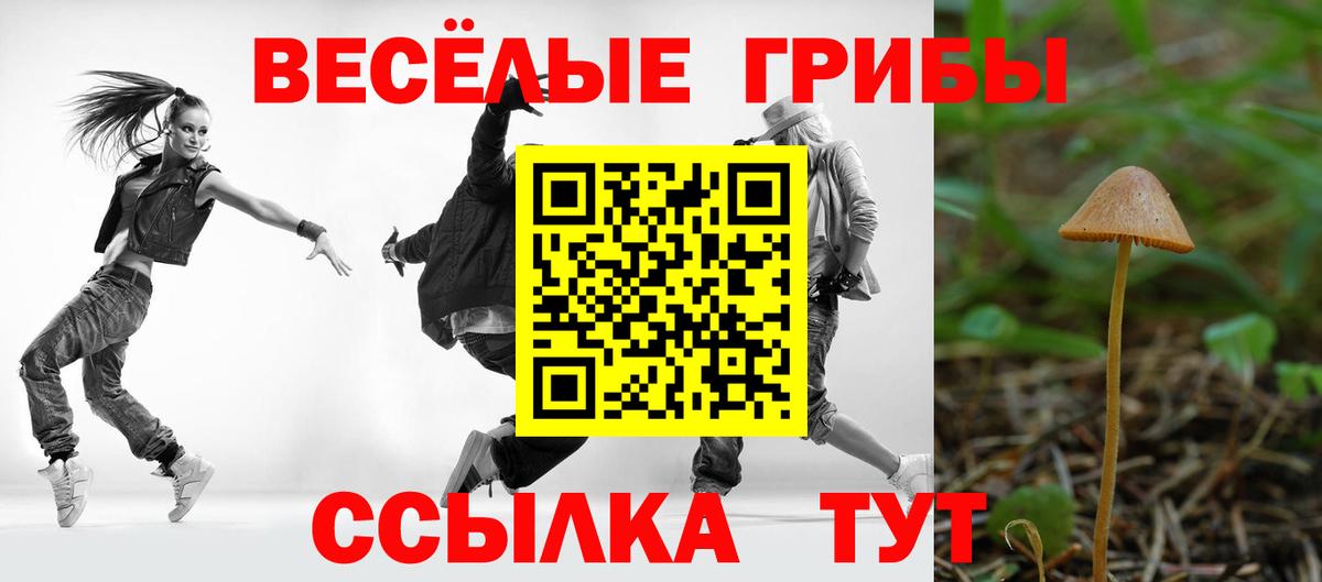 Семилуки  Галлюциногенные грибы GOLDEN TEACHER  Вход с VPN 